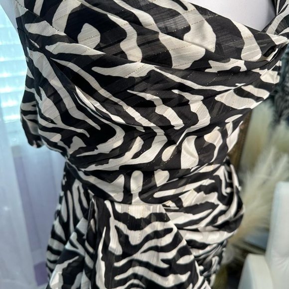 Zebra Dress - Picture 2 of 6